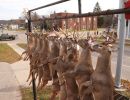 20161115 mancelona 62th buck pole 2016