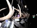 20161115 mancelona 62th buck pole 2016