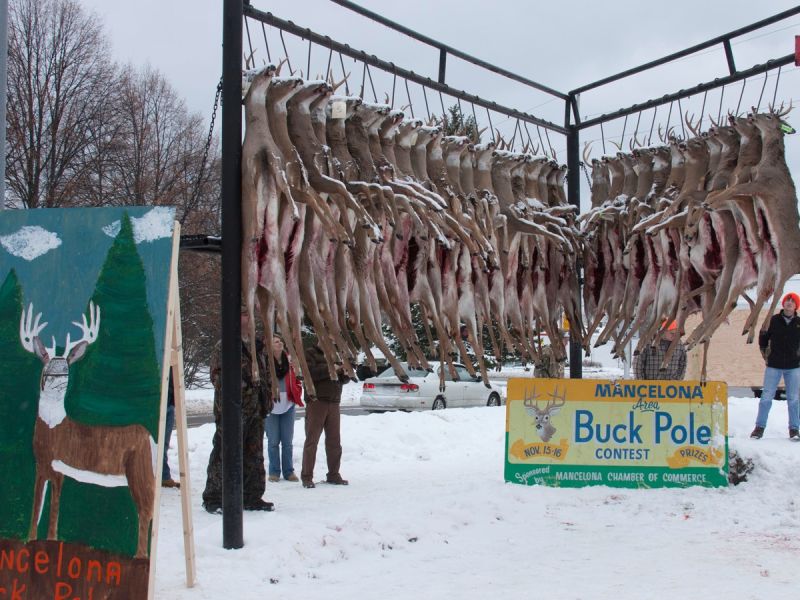 20141116 mancelona 60th buck pole 2014