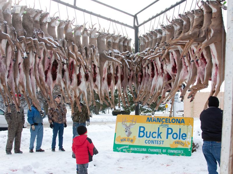 20141116 mancelona 60th buck pole 2014