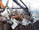 20151116 mancelona 61st buck pole 2015