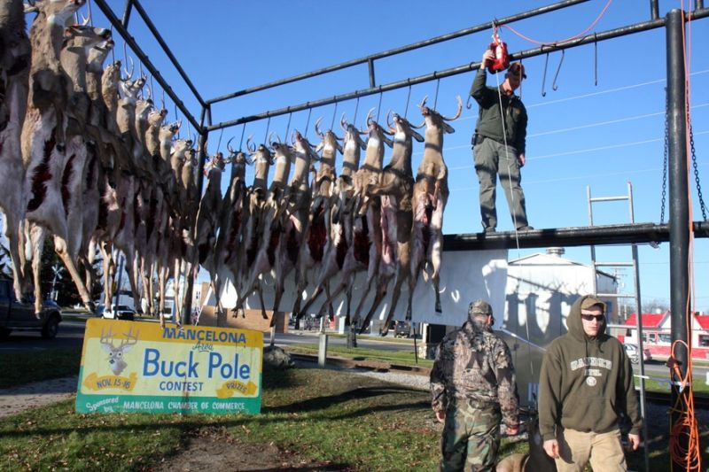 20151116 mancelona 61st buck pole 2015