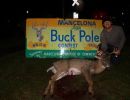 20171115 mancelona buck pole 63rd