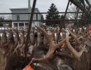 20181116 mancelona 64th buck pole 2018