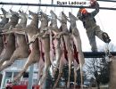 20201116 mancelona 66th buck pole 2020