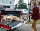 20201116 mancelona 66th buck pole 2020