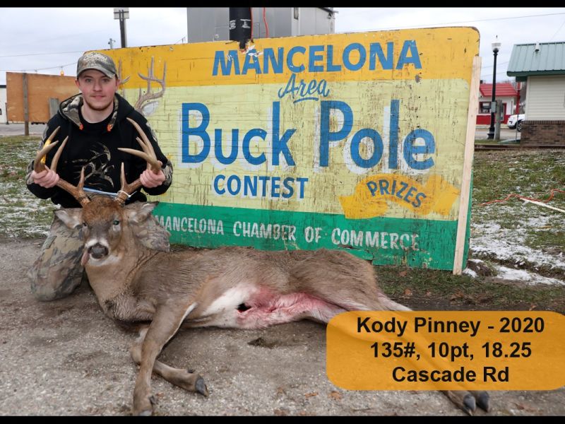 pinney kody 17