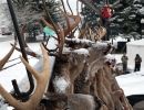 20211116 mancelona 67th buck pole 2021