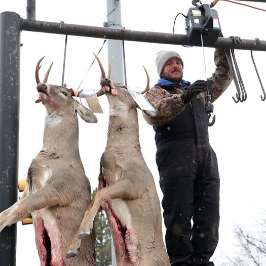 20221115 mancelona 68th buck pole 2022