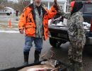 20221115 mancelona 68th buck pole 2022