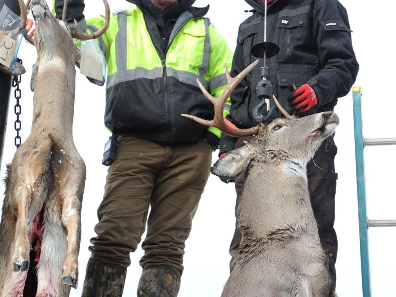 20221116 mancelona 68th buck pole 2022