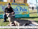 2023 david smyczynski buck pole banner