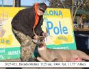 2023 brenda mulder  buck pole banner