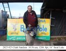 2023  clark sandeen    buck pole banner