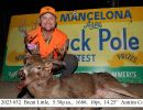 2023 brent little buck pole banner