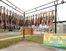 2023 11 16 fb buck pole img