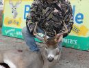 20241116 70th buck pole