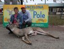 20241116 70th buck pole