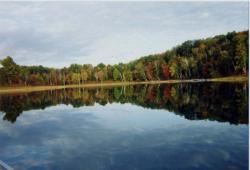 Wetzel Lake, Mancelona