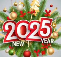 Happy New Year! 2025